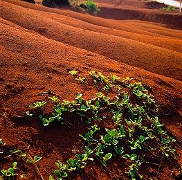 《多重人生》新预告片介绍主角和他的诸多分身